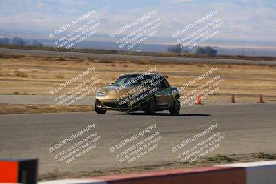 media/Nov-16-2024-CalClub SCCA (Sat) [[641f3b2761]]/Group 4/Grid and Front Straight/